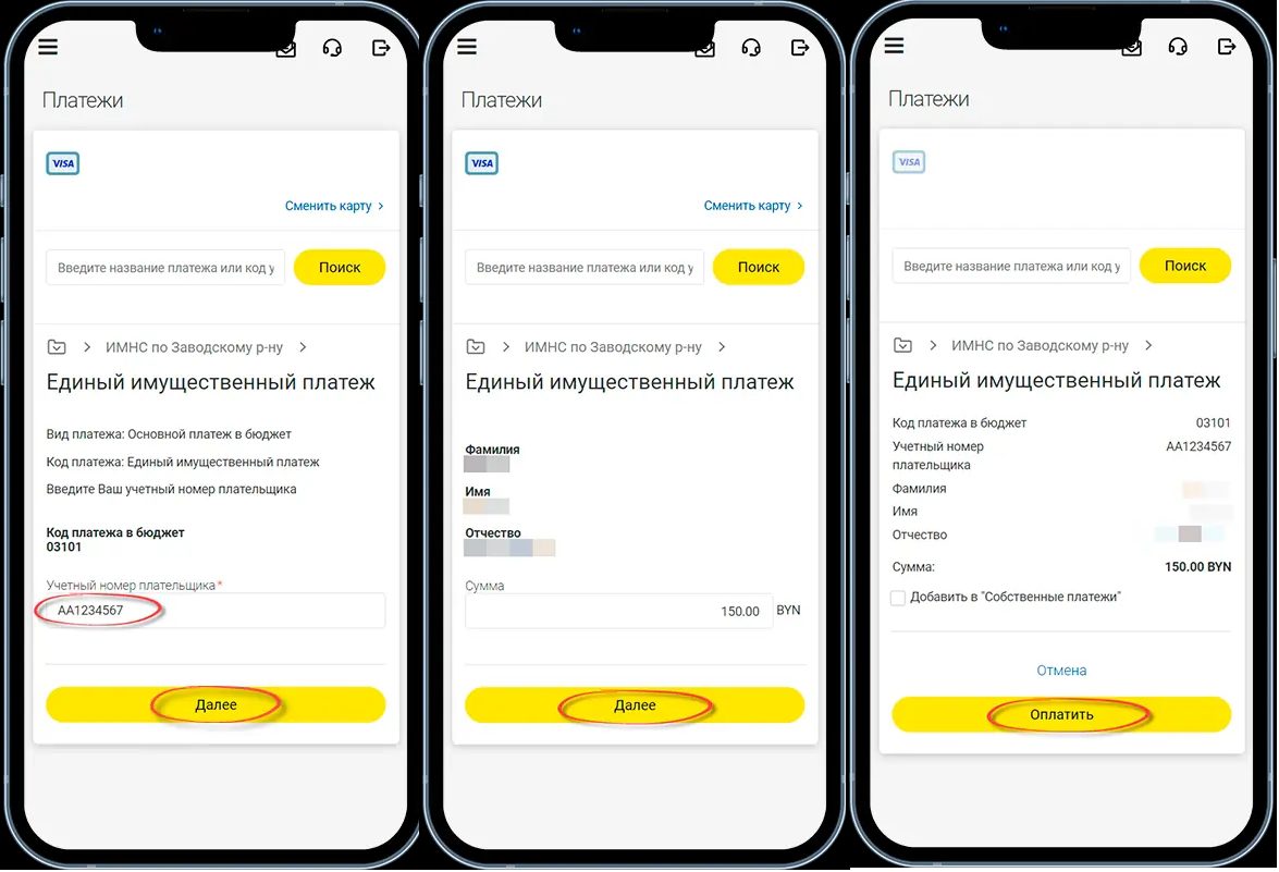 иллюстрация ввода реквизитов и кнопок для оплты
